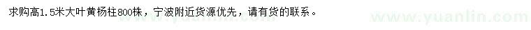 求購高1.5米大葉黃楊柱