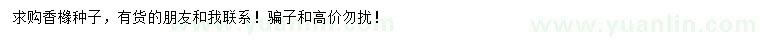 求購香櫞種子