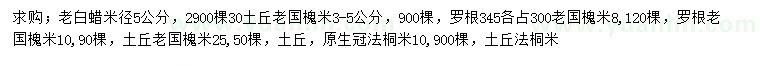 求購白蠟、國槐、法桐等