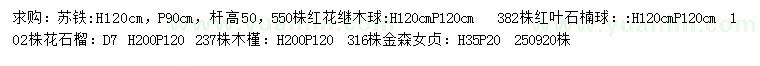 求購蘇鐵、紅花繼木球、紅葉石楠等