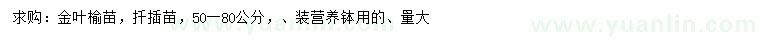 求購50-80公分金葉榆小苗