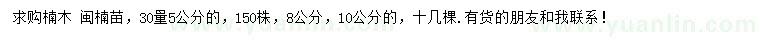 求購30量5、 8、10公分楠木、閩楠苗
