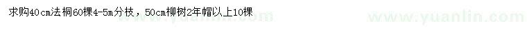 求購40公分法桐、50公分柳樹