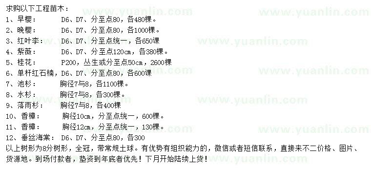 求購(gòu)早櫻、晚櫻、紅葉李等