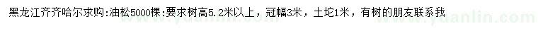 求購高5.2米以上油松