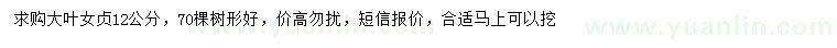 求購12公分大葉女貞