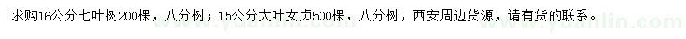 求購16公分七葉樹、15公分大葉女貞