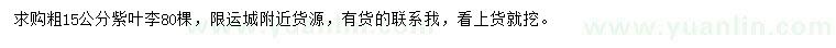 求購粗15公分紫葉李