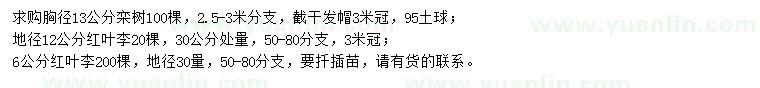 求購胸徑13公分欒樹、地徑6、12公分紅葉李