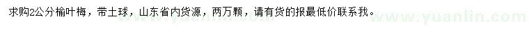 求購2公分榆葉梅