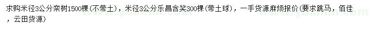 求購米徑3公分欒樹、樂昌含笑