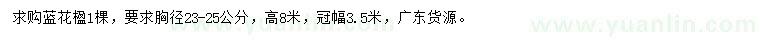 求購胸徑23-25公分藍花楹