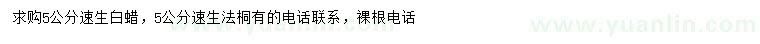 求購(gòu)5公分速生白蠟、速生法桐