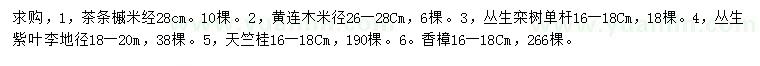 求購(gòu)茶條槭、黃連木、叢生欒樹(shù)等