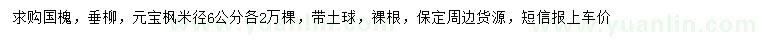 求購(gòu)國(guó)槐、垂柳、元寶楓