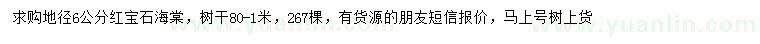 求購地徑6公分紅寶石海棠