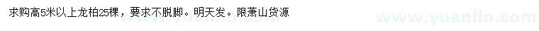 求購高5米以上龍柏