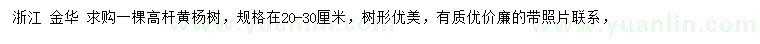 求購20-30公分高桿黃楊