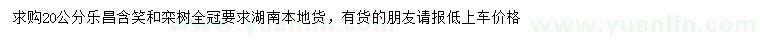 求購20公分樂昌含笑、欒樹