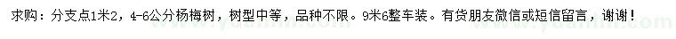 求購4-6公分楊梅樹
