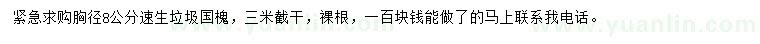 求購胸徑8公分速生國槐
