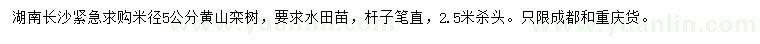 求購米徑5公分黃山欒