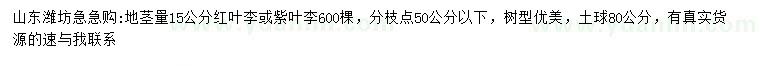 求購地徑量15公分紅葉李、紫葉李