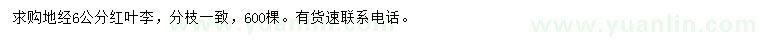 求購地經(jīng)6公分紅葉李