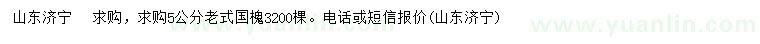 求購5公分老式國槐