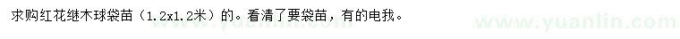 求購1.2x1.2米紅花繼木球袋苗