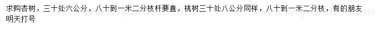 求購30處量6公分杏樹