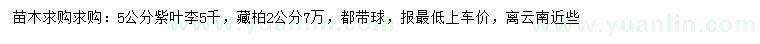求購5公分紫葉李、2公分藏柏