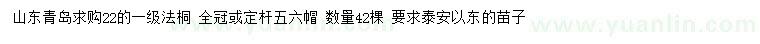 求購22公分法桐