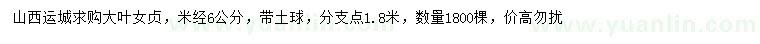 求購米徑6公分大葉女貞