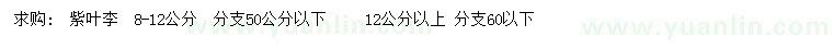 求購(gòu)8-12、12公分以上紫葉李