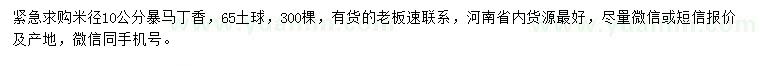 求購米徑10公分暴馬丁香