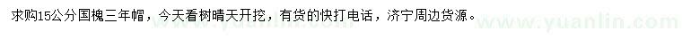 求購15公分國槐