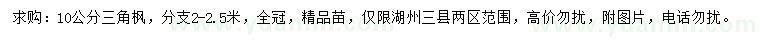 求購10公分三角楓