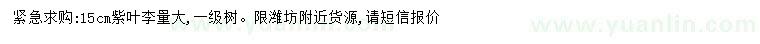 求購15公分紫葉李