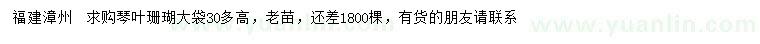 求購琴葉珊瑚