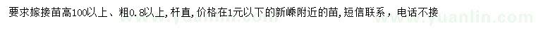 求購高100公分以上赤楓小苗