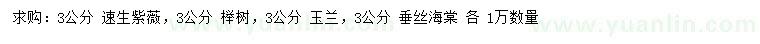 求購速生紫薇、玉蘭、垂絲海棠