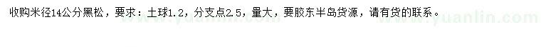 求購(gòu)米徑14公分黑松