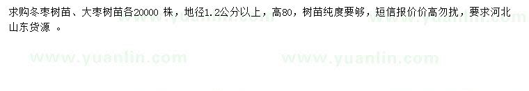 求購(gòu)地徑1.2公分以上冬棗樹苗、大棗樹苗