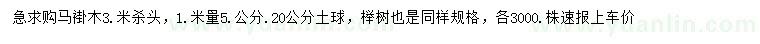 求購1米量5公分馬褂木