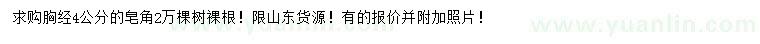 求購(gòu)胸徑4公分皂角