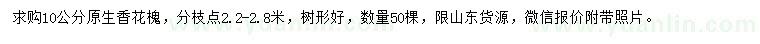 求購(gòu)10公分原生香花槐