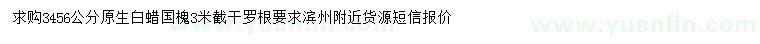 求購3、4、5、6公分原生白蠟、國槐