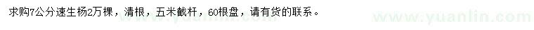 求購7公分速生楊