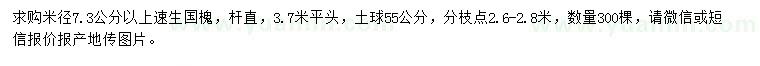 求購米徑7.3公分以上速生國槐